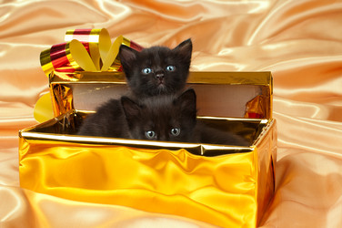 Similar image 9550841