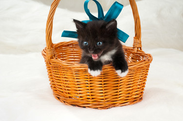 Similar image 9550880