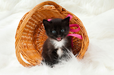 Similar image 9550882