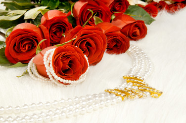 Similar image 9550921