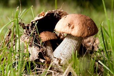 Similar image 9550934