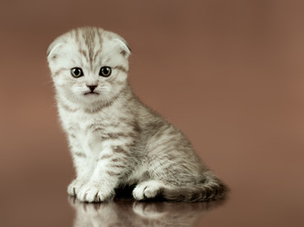 Similar image 9550938