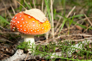 Similar image 9550939