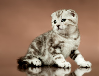 Similar image 9550951