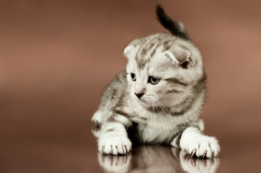 Similar image 9550954