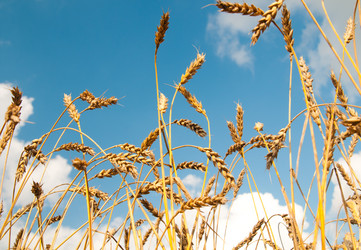 Similar image 9550978