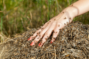 Similar image 9550981