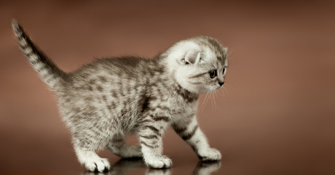 Similar image 9550996