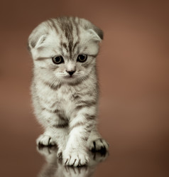 Similar image 9551002