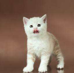 Similar image 9551009