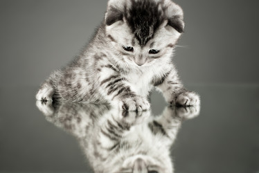 Similar image 9551011