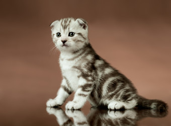 Similar image 9551026