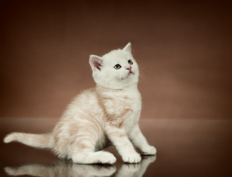 Similar image 9551043