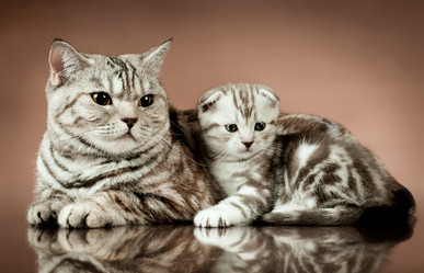 Similar image 9551050