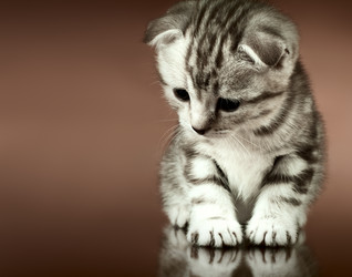 Similar image 9551064