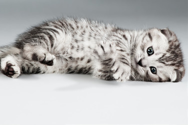 Similar image 9551140