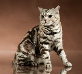 Similar image 9551162