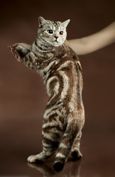 Similar image 9551164