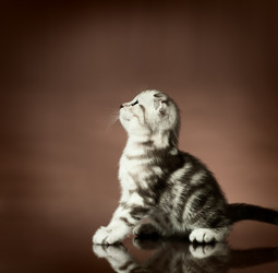 Similar image 9551168