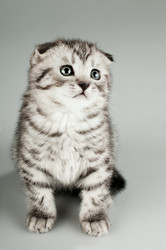 Similar image 9551298