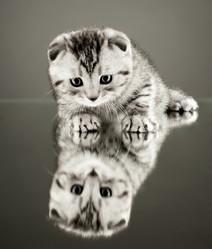 Similar image 9551325