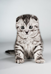 Similar image 9551345