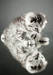 Similar image 9551375