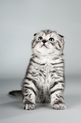 Similar image 9551382