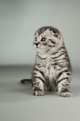 Similar image 9551509