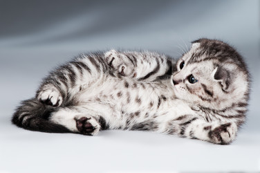 Similar image 9551522