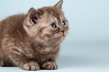 Similar image 9551528