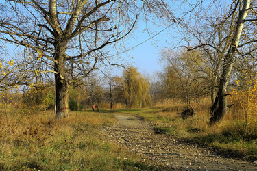 Similar image 9551728