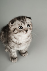 Similar image 9551774