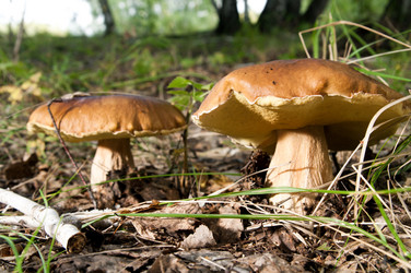 Similar image 9551790