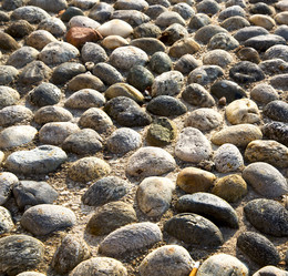 Similar image 9562547