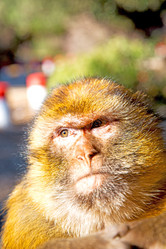 Similar image 9563253