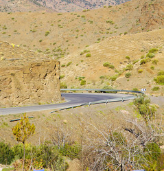 Similar image 9563261