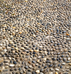 Similar image 9563411