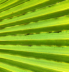 Similar image 9563469