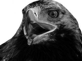 Similar image 9572485