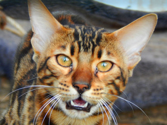 Similar image 9572491