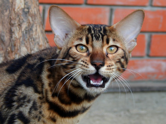 Similar image 9572493