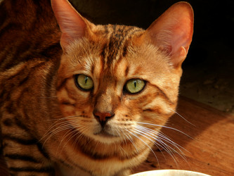 Similar image 9572507