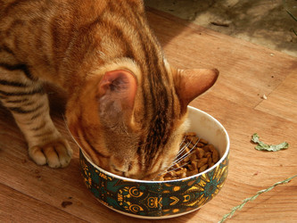 Similar image 9572512