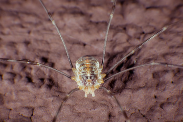 Similar image 9574315