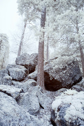 Similar image 9574350