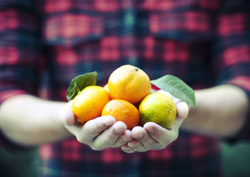 Similar image 9574554