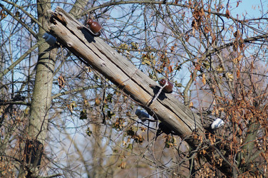 Similar image 9577185