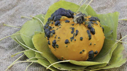 Similar image 9580094