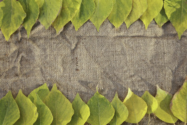 Similar image 9580097